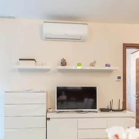 Solar I By Bltn 希欧福克